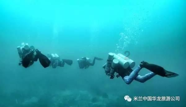 热带天堂找不同